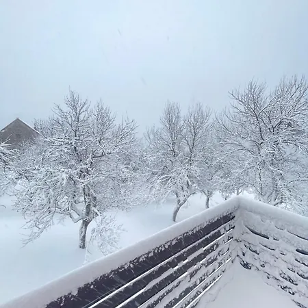 Bajt * Ravna Gora