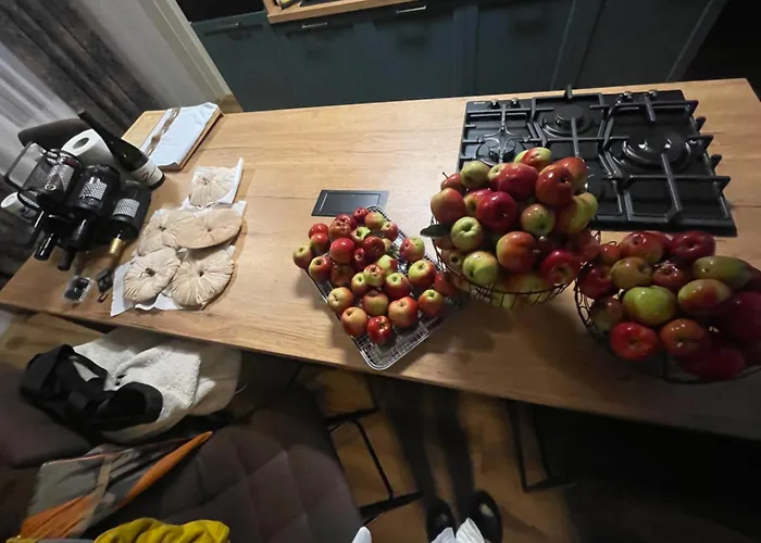 Appartamento Bajt Ravna Gora