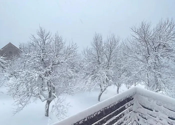 Bajt * Ravna Gora